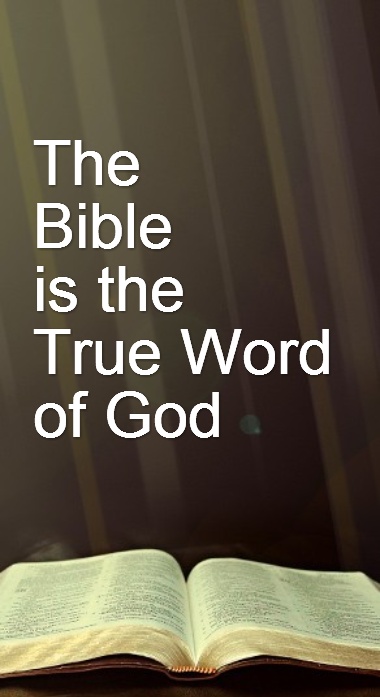 Website Sidebar Bible