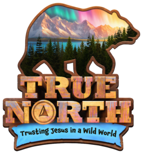 Bear with True North